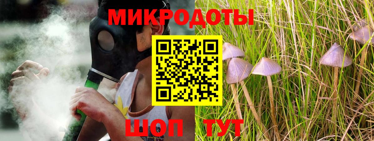 Тольятти  Галлюциногенные грибы прущие грибы  Вход с VPN 