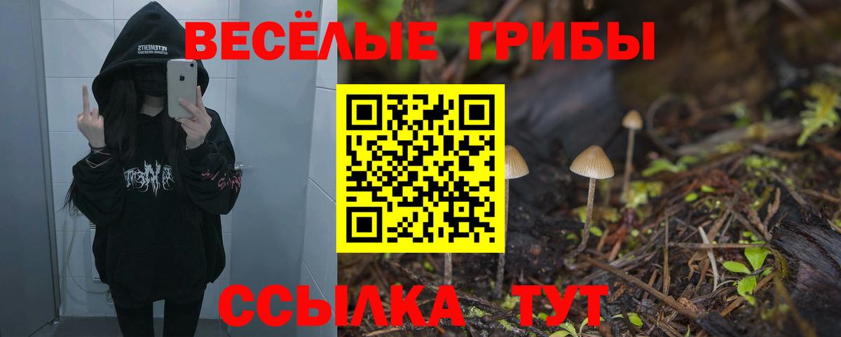 Псилоцибиновые грибы Psilocybe Тольятти